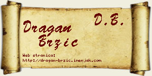 Dragan Brzić vizit kartica